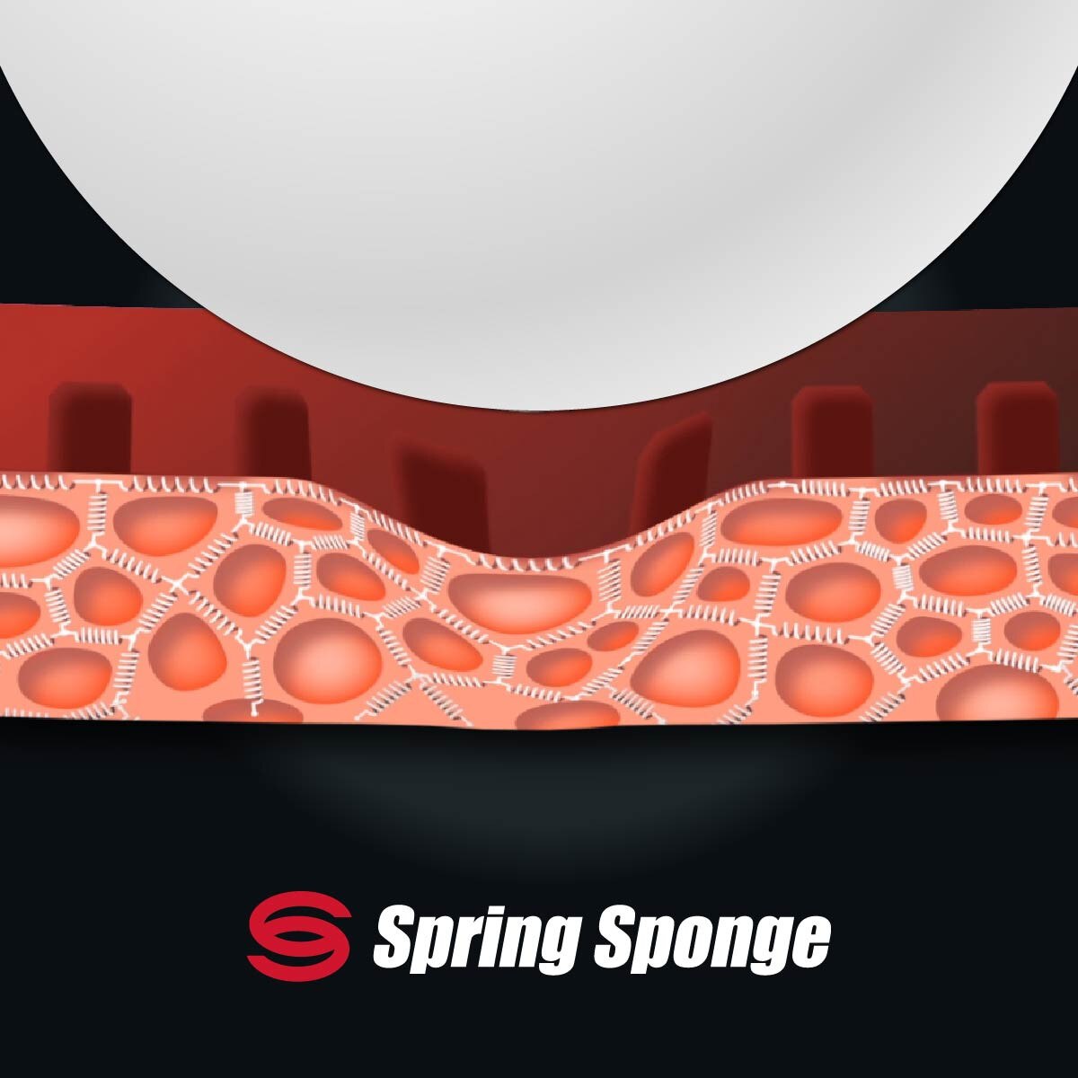 Tenergy 19: Spring Sponge Profile